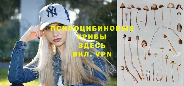 круглые Козельск
