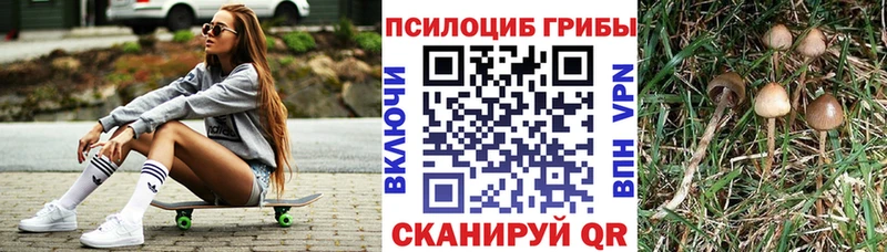 Купить где  Арсеньев  Галлюциногенные грибы MAGIC MUSHROOMS 